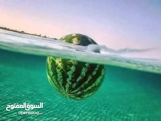 صالة دورين للبيع ملك والملك لله