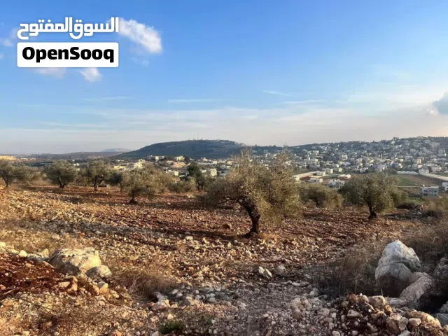 Residential Land for Sale in Jenin Qabatiya
