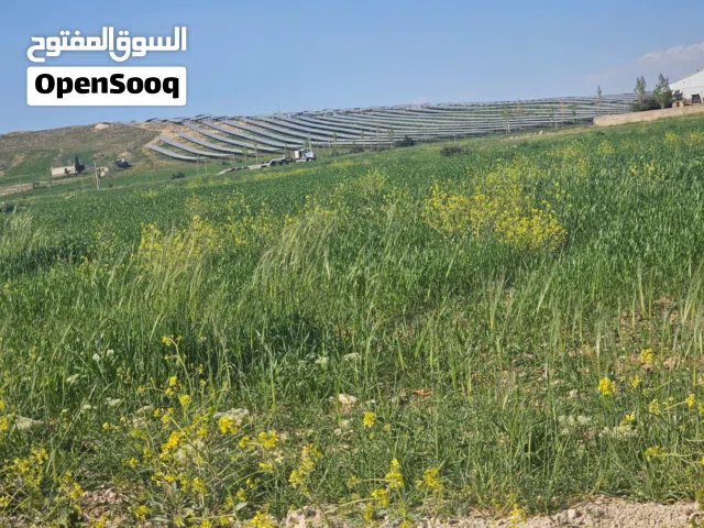 Mixed Use Land for Sale in Tafila Bseira
