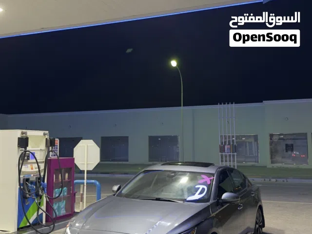 التيما بلاتينيوم موديل 2020