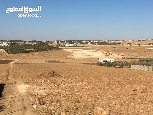 Farm Land for Sale in Amman Al-'Al