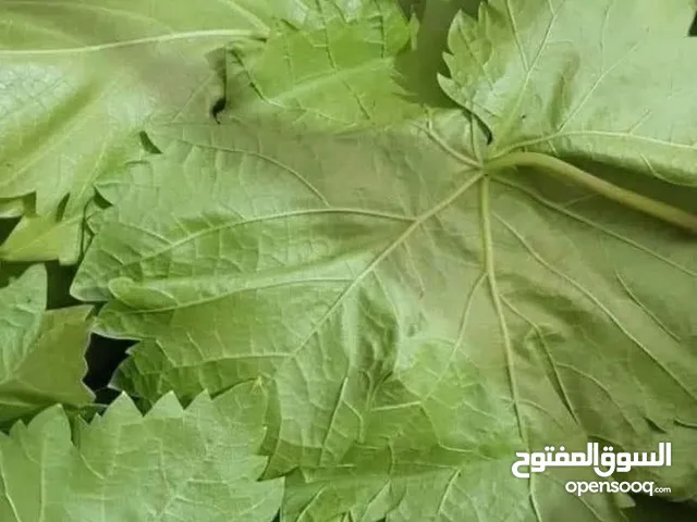 ورق دوالي بلدي +امريكي