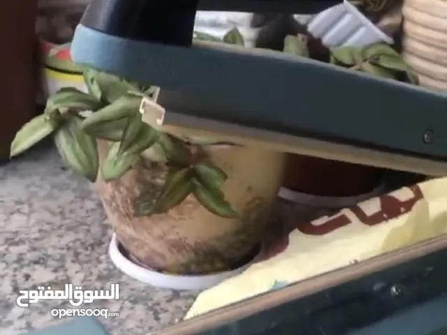 غلايه قهوه