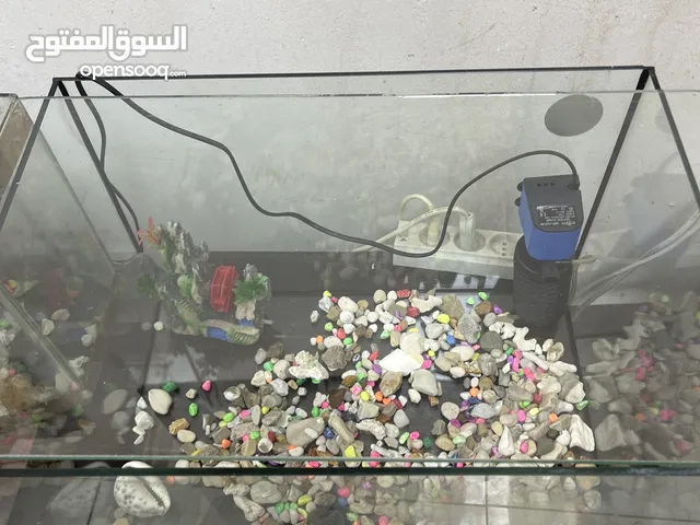 حوض سمك للبيع