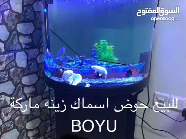 حوض سمك زينه