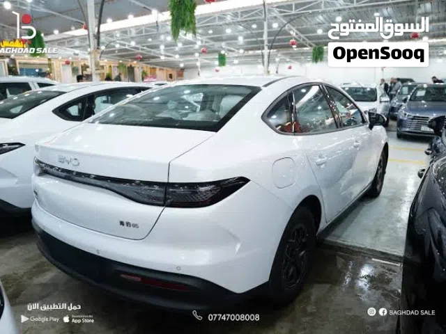 2025 بي واي دي سيل