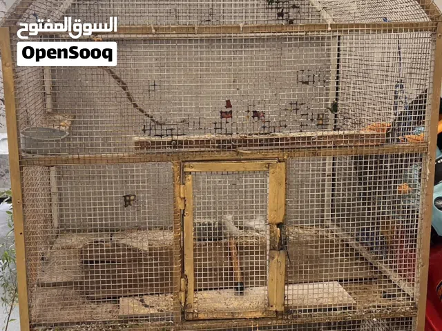 قفص حديد للبيع