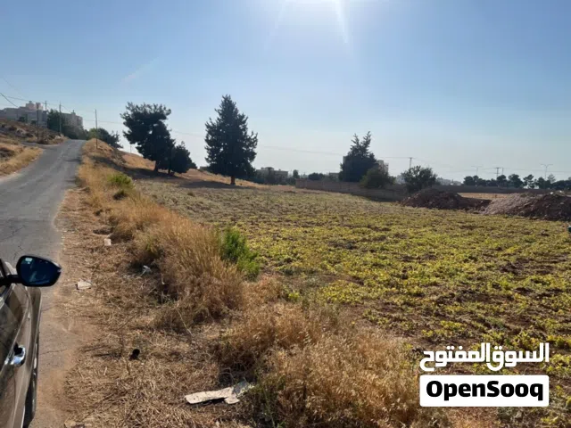 Residential Land for Sale in Amman Naour