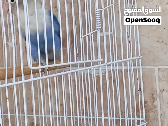 نتايه جاهزة باذن الله