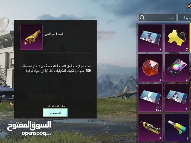 Pubg Accounts and Characters for Sale in Irbid