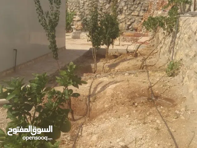 مزرعة للبيع في اجمل مناطق جرش