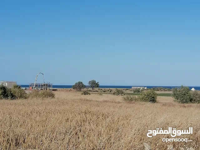 Mixed Use Land for Sale in Nabeul Other