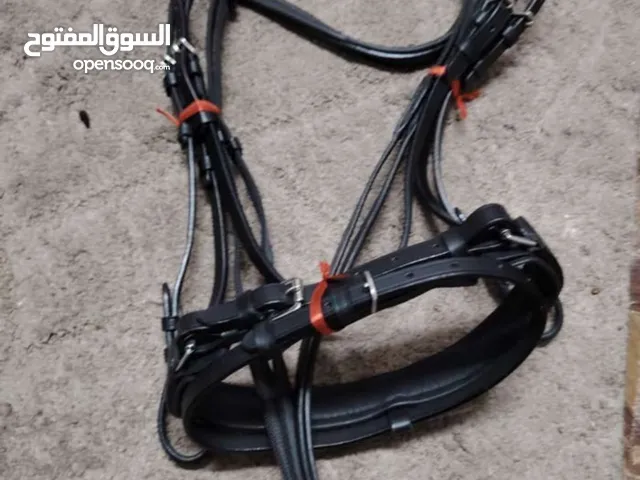 الجام سباق الدعم الجديد نظيف وكاله طريقه 115 مطلوب بحاليا 45 دينار بيع عاجل
