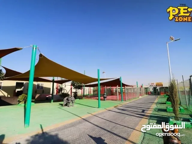 اكبر فندق للكلاب ..للمبيت وتدريبها