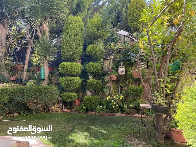 500 m2 4 Bedrooms Villa for Rent in Amman Khalda