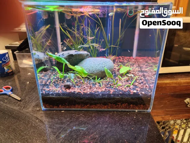 حوض  جديد فول كرستال نباتي