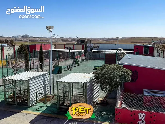 فندق ومركز تدريب للكلاب