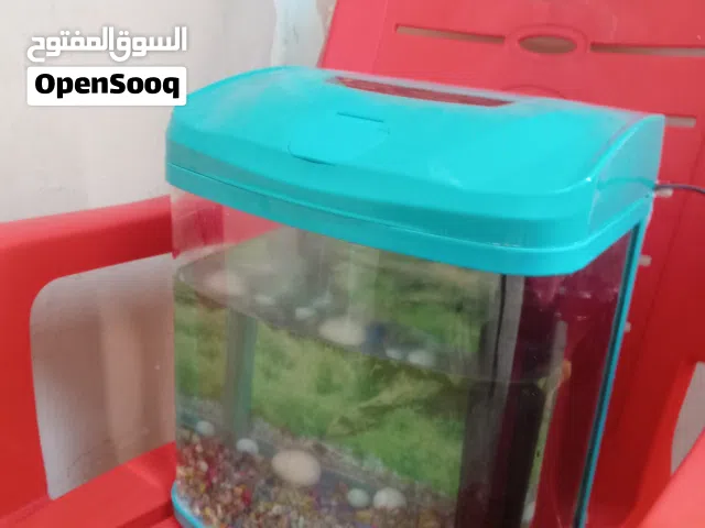 حوض سمك الزينه