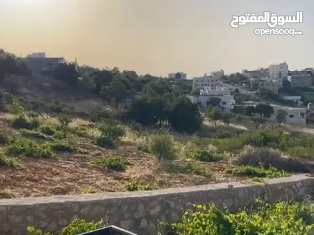 ارض للبيع عبين عجلون