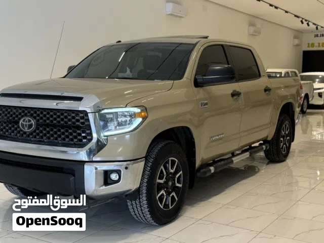 تندرا محلي 2019 اشهب