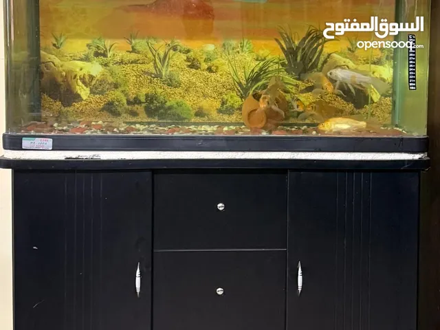 Complete Aquarium Setup with Integrated Cabinet & Filter