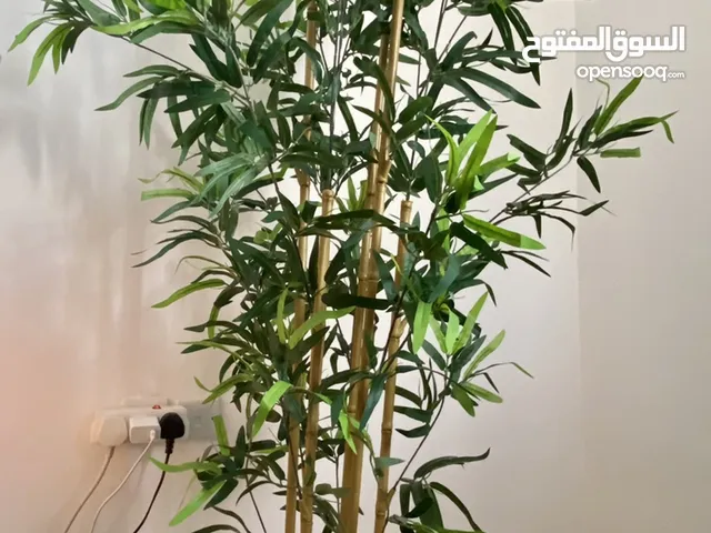 Artificial potted plant - in/outdoor bamboo