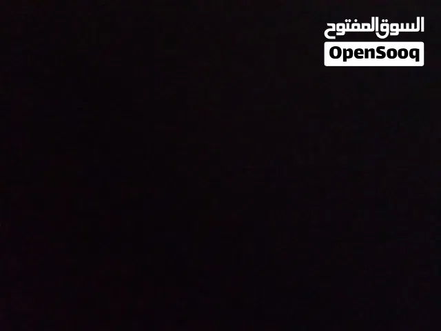 مطلوب ارانب