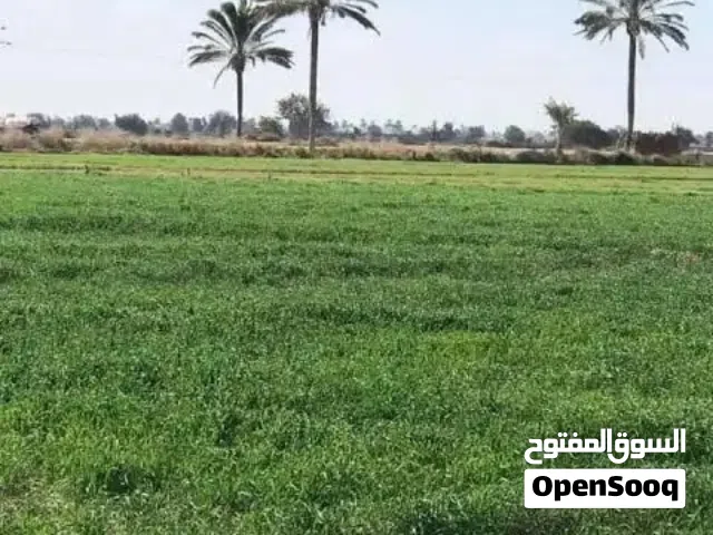 قطعه ارض موقع مميز للبيع