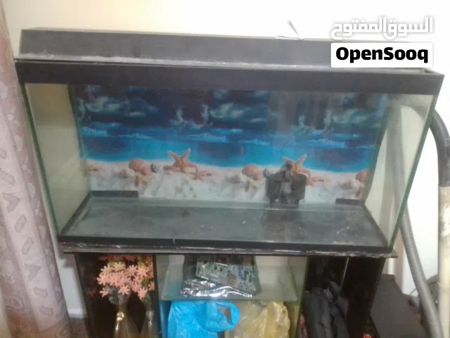 حوض سمك كبير مع القاعده تبعتو بسعر حرق