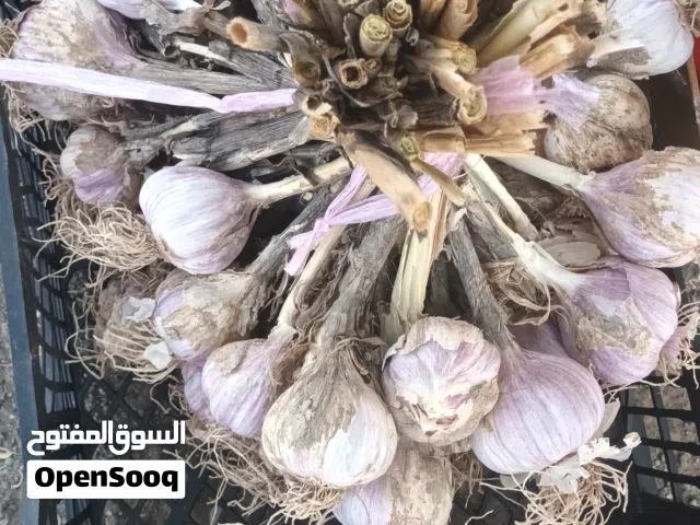 ثوم عماني جبلي درجه اولى