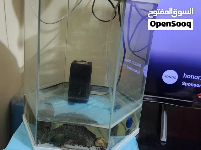 Aquarium with Filter and Oxygen