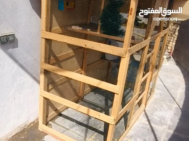 قفص مرتب جهاهز