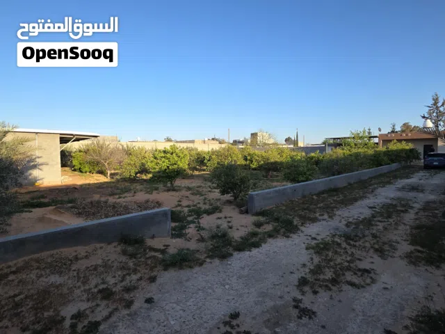 أرض للبيع بمساحة 2500 متر مربع