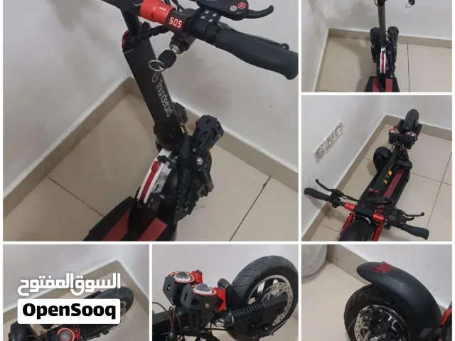 Thunderbird E10 electric scooter