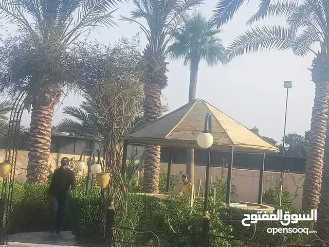 تفصيل جميع أشكال معرشات القصيب وبافضل الاسعار وبأشكال هندسيه