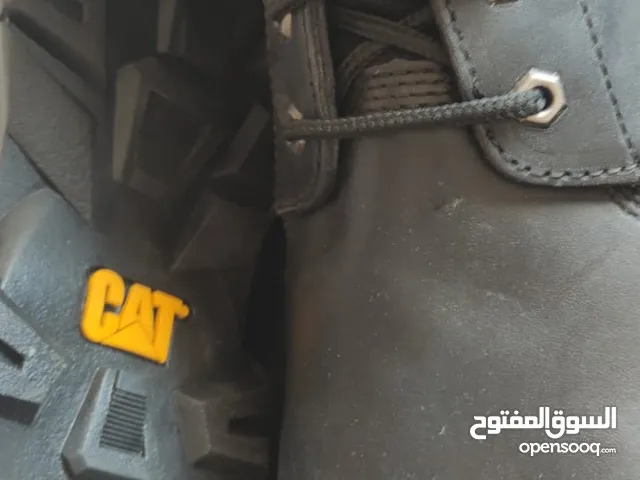 42.5 Others in Ramallah and Al-Bireh
