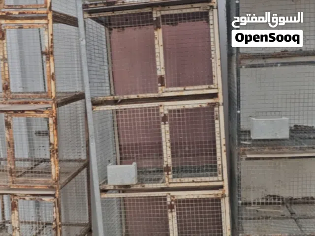 للبيع خانات وحظانه