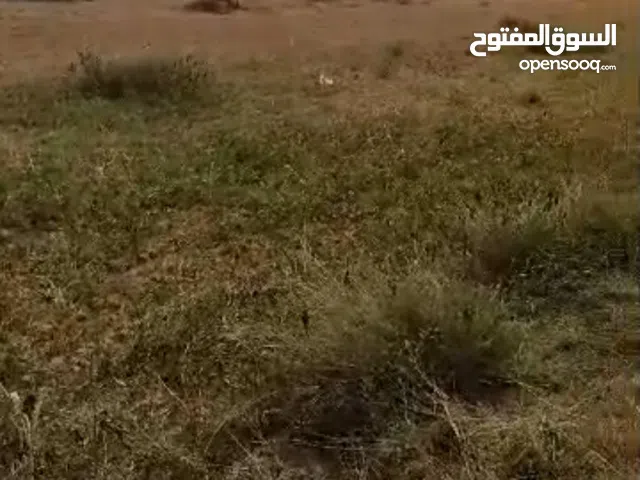 ارض زراعيه في الخشم للبيع