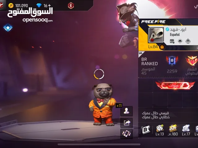 Pubg Accounts and Characters for Sale in Zarqa