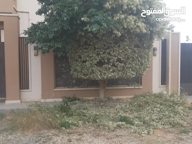 تقليم أشجار