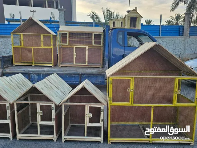 بارتيات عصافير وقطط وحمام