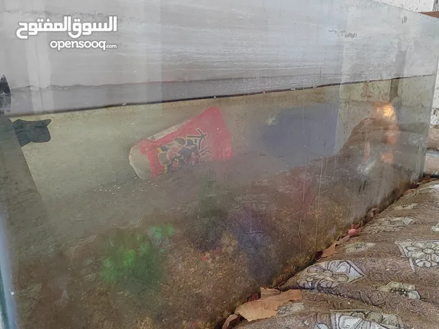 حوض سمك زينه مع 6 سمكات