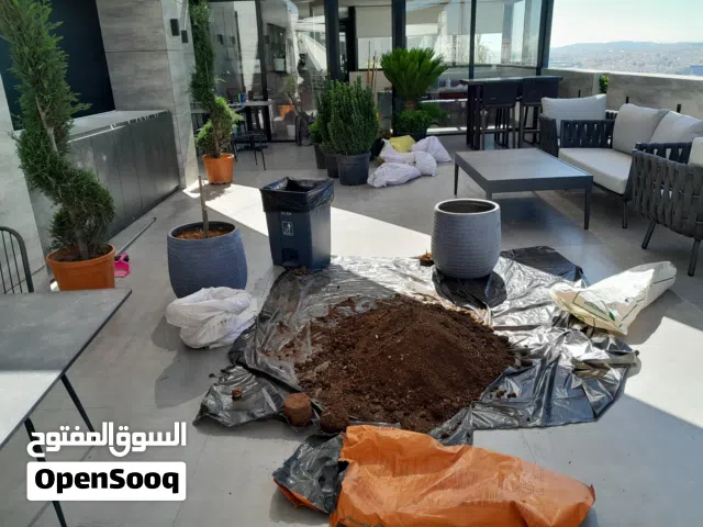 القبطي لتنسيق الحداىق