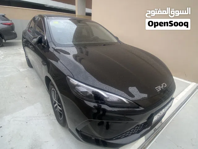 2025 بي واي دي سيل
