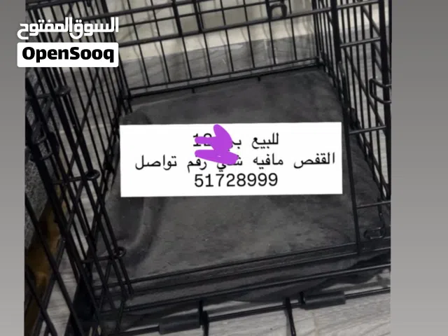 قفص قطط للبيع بي 9 القفص مافيه ولا شي وكان يكفي قطاوتي الاثنين وهذي صورته