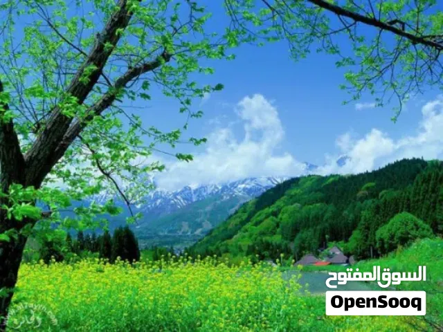 قطعة ارض  على شارعين مساحه 640.م حي الخويبية /// ارض البعباع