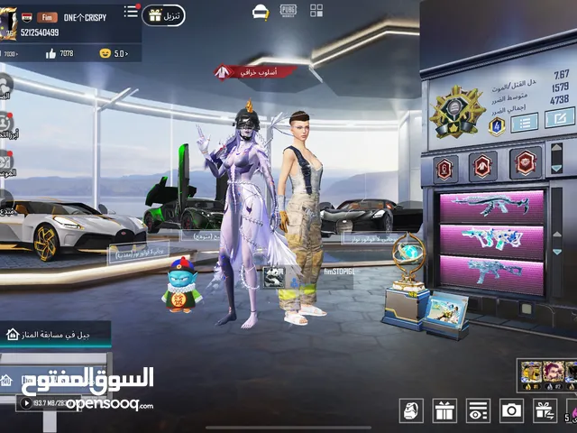 Pubg Accounts and Characters for Sale in Basra