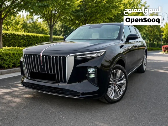 2021 هونج تشي E-HS9