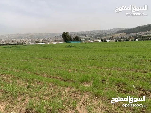 Mixed Use Land for Sale in Amman Al Kamaliya
