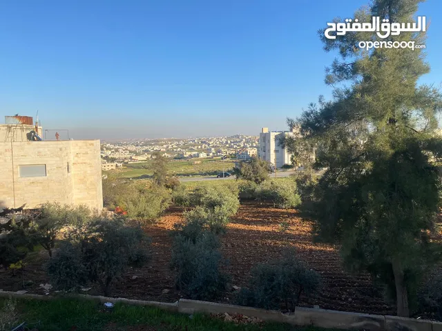 Residential Land for Sale in Amman Daheit Al Yasmeen